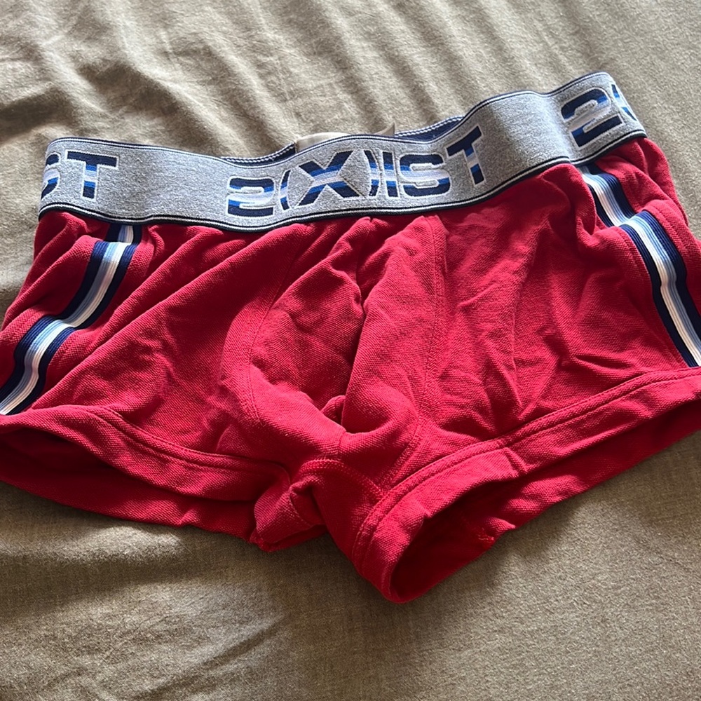 2xist Mens Trunks